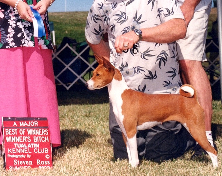 Brush Prairie Show